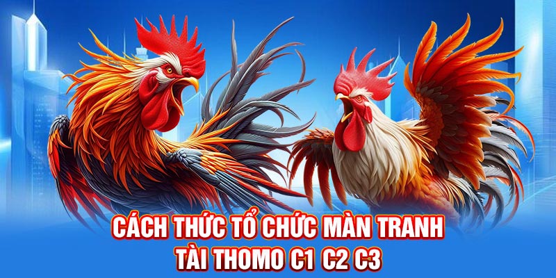 Cách thức tổ chức màn tranh tài Thomo C1 C2 C3