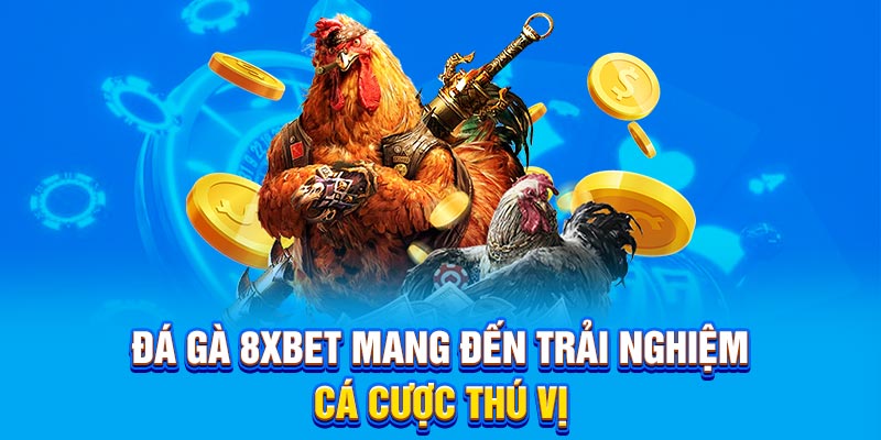 Đá gà 8xbet mang đến trải nghiệm cá cược thú vị