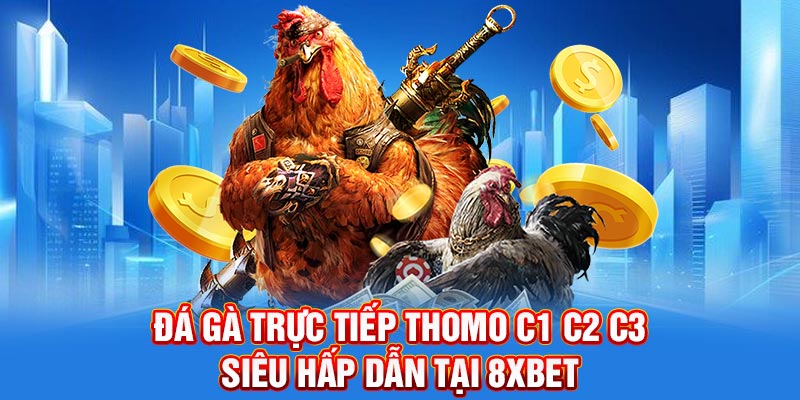 Đá Gà Trực Tiếp Thomo C1 C2 C3 Siêu Hấp Dẫn Tại 8XBET