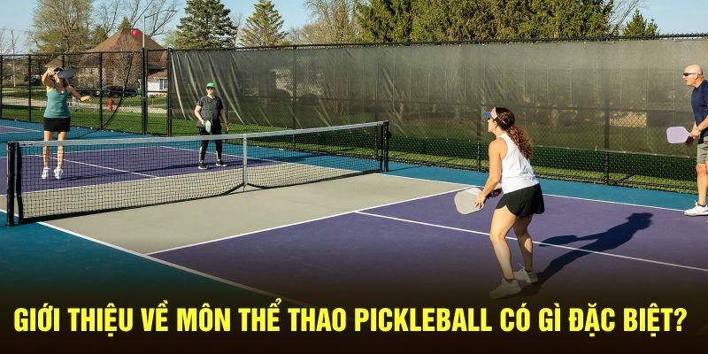 Giới thiệu về môn thể thao Pickleball có gì đặc biệt?