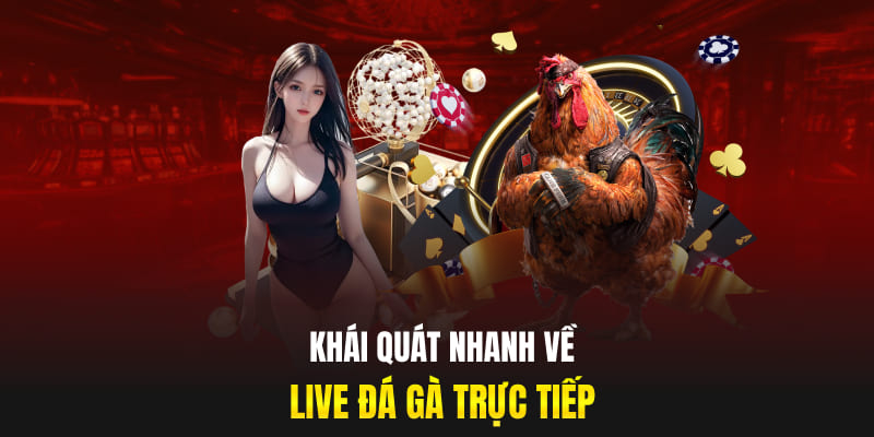 Khái quát nhanh về live đá gà trực tiếp