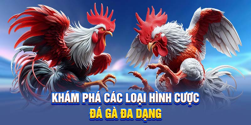 Khám phá các loại hình cược đá gà đa dạng