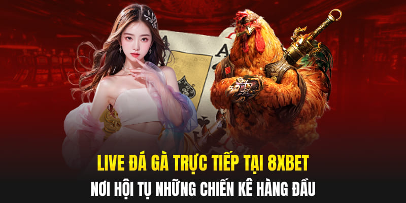 Live Đá Gà Trực Tiếp Tại 8XBET – Nơi Hội Tụ Những Chiến Kê Hàng Đầu