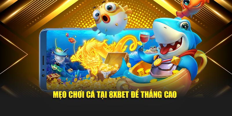 Mẹo chơi cá tại 8XBET để thắng cao