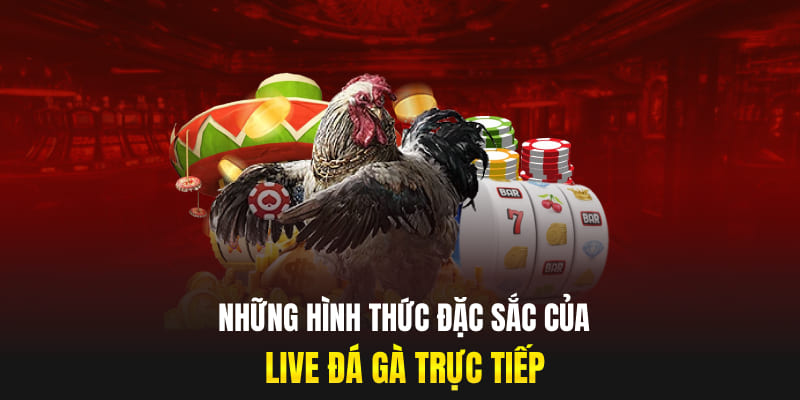 Những hình thức đặc sắc của live đá gà trực tiếp