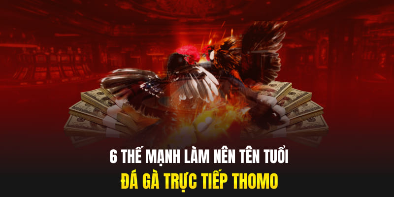 6 thế mạnh làm nên tên tuổi đá gà trực tiếp Thomo