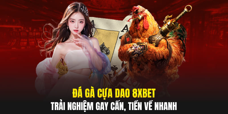 Đá Gà Cựa Dao 8XBET - Trải Nghiệm Gay Cấn, Tiền Về Nhanh