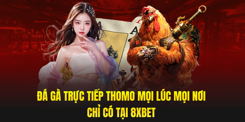 Đá Gà Trực Tiếp Thomo Mọi Lúc Mọi Nơi – Chỉ Có Tại 8XBET